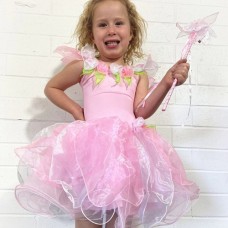 Fairy Dress Wish & Wand - Large - 6 - 8 years